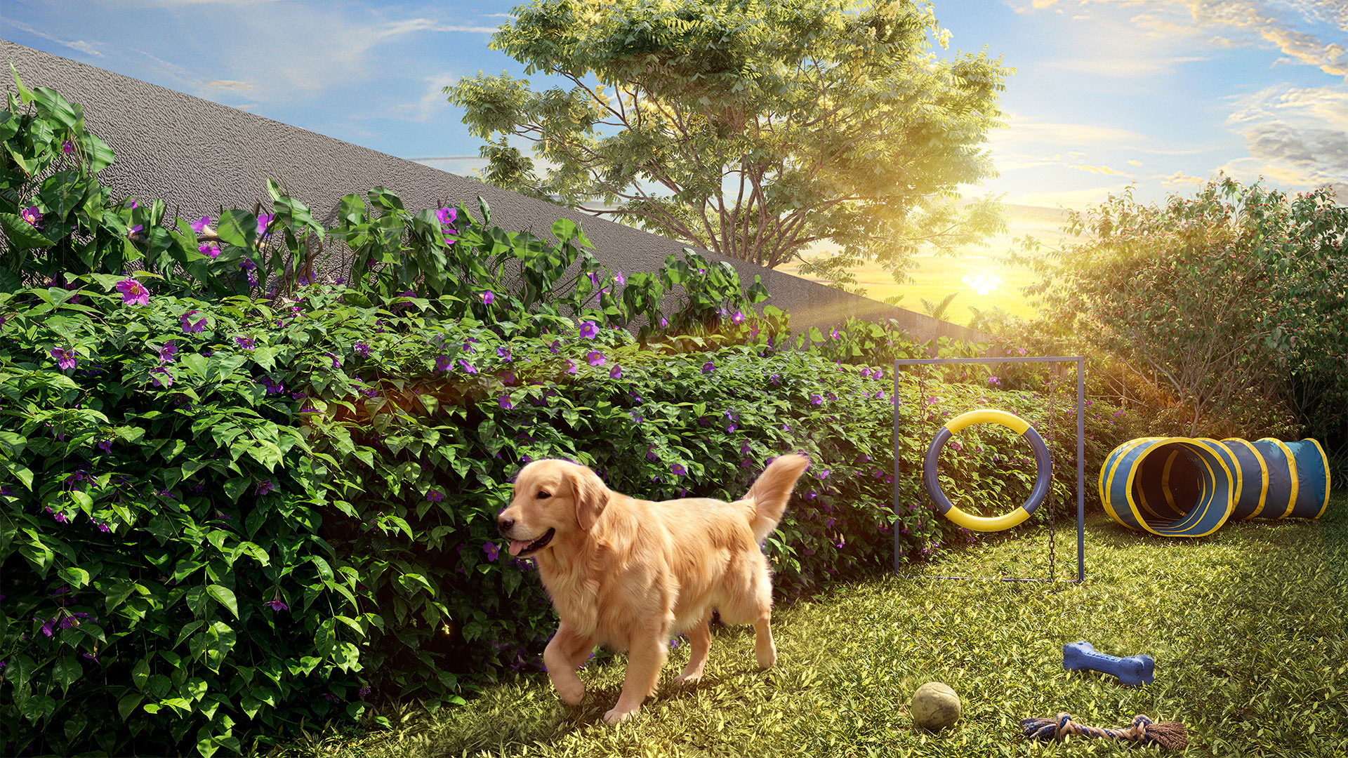 Pet place, térreo